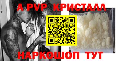 молекула духа Камышлов