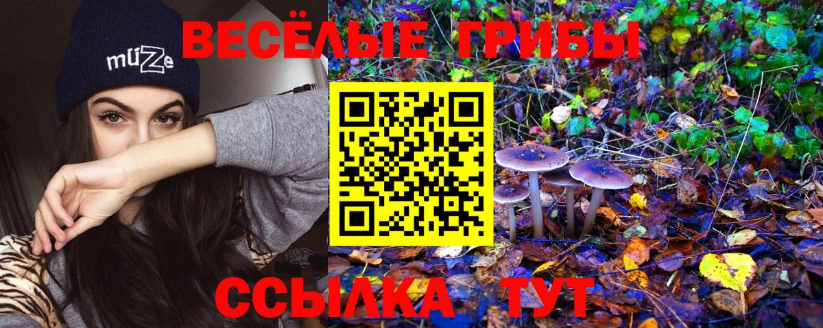 Псилоцибиновые грибы MAGIC MUSHROOMS Сочи