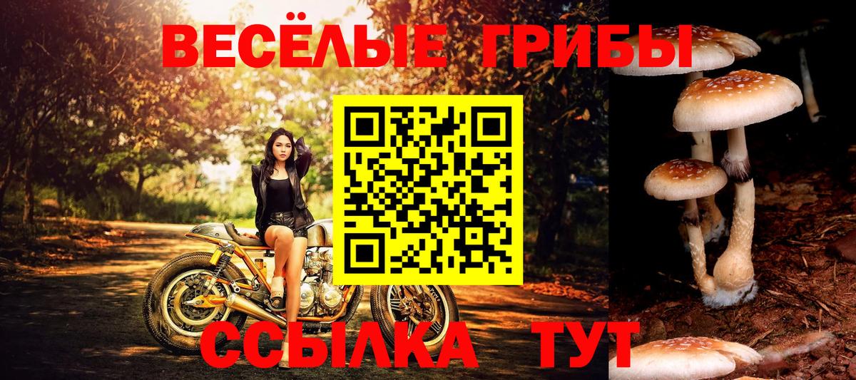 Псилоцибиновые грибы мухоморы  Вход с VPN  Псилоцибиновые грибы мицелий  Сочи 